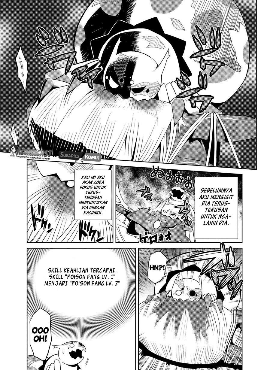 Kumo desu ga, Nani Ka?